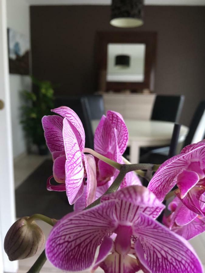 Апартаменты Nano House Бегль Экстерьер фото